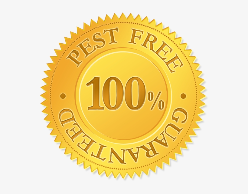 Charge Port Repair - Free Psd Seal Templates, transparent png download