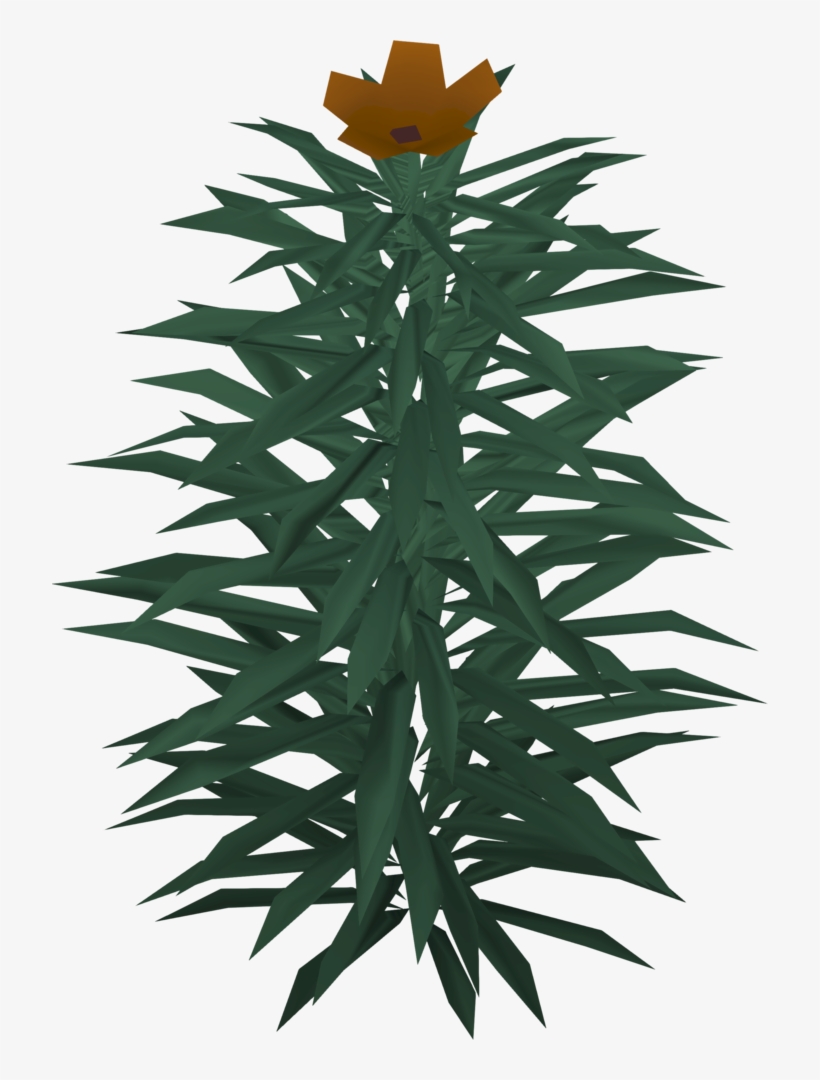 Excellent Release Date May Update With 31 Great Png - Houseplant, transparent png download