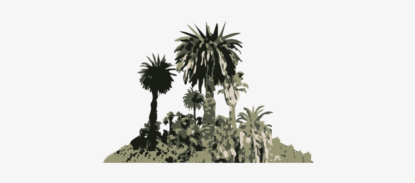 Tropical Botanical Garden - Jardim Botânico, Rio De Janeiro, transparent png download