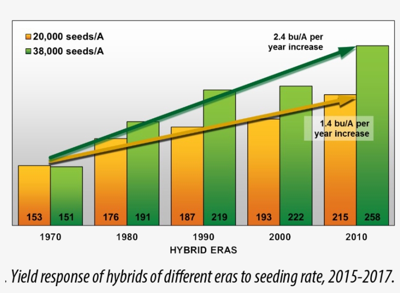Choosing The Right Seeding Rate - Diagram, transparent png download
