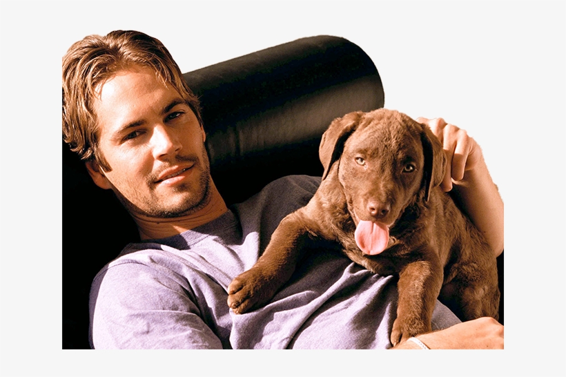 Paul Walker 1973 2013 R - Chris Hemsworth And Puppy, transparent png download