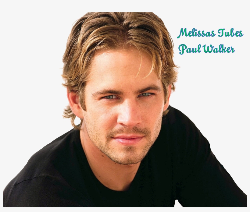 Posted By Quadcowgirl At - Paul Walker, transparent png download