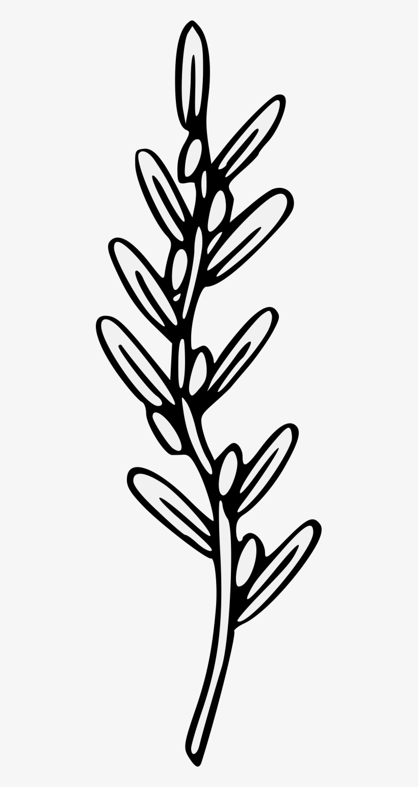 Details, Png, transparent png download