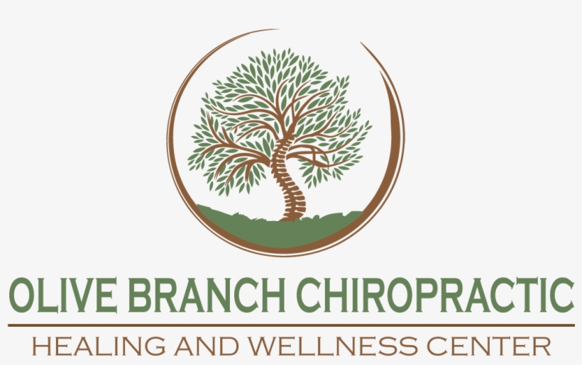 Olive Branch Chiropractic Logo - L’amour Ou La Truelle: Roman [book], transparent png download