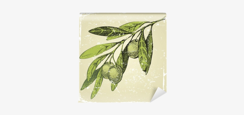 Edible Stories By Mark Kurlansky, transparent png download