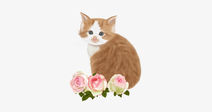 Cute Ginger Kitten - Pillow, transparent png download