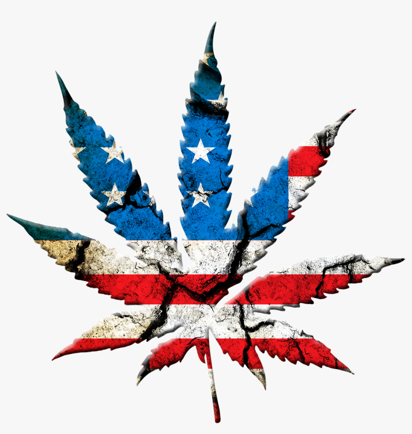 Meanwhile, Once These Legal Marijuana Bills Finally - State Marijuana Legalization: Issues And Effects, transparent png download