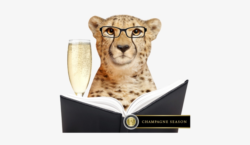 Educate Then Celebrate Types Of Champagne For The Holiday - Champagne, transparent png download