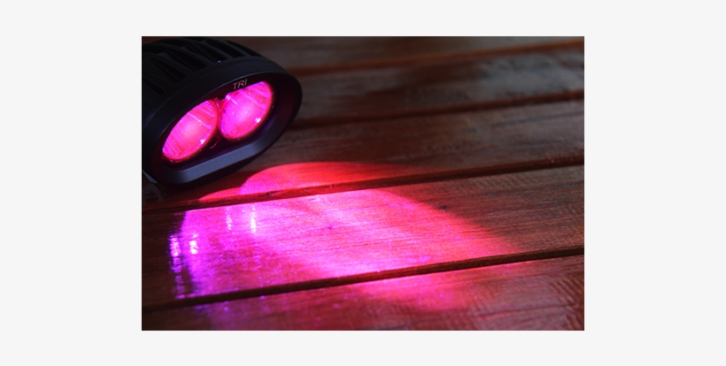 Wall E Violet 1 - Light, transparent png download