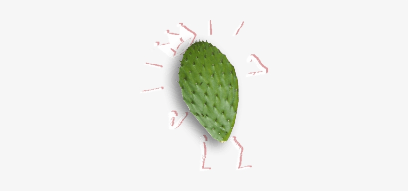 Thorns, Spines, And Prickles, transparent png download