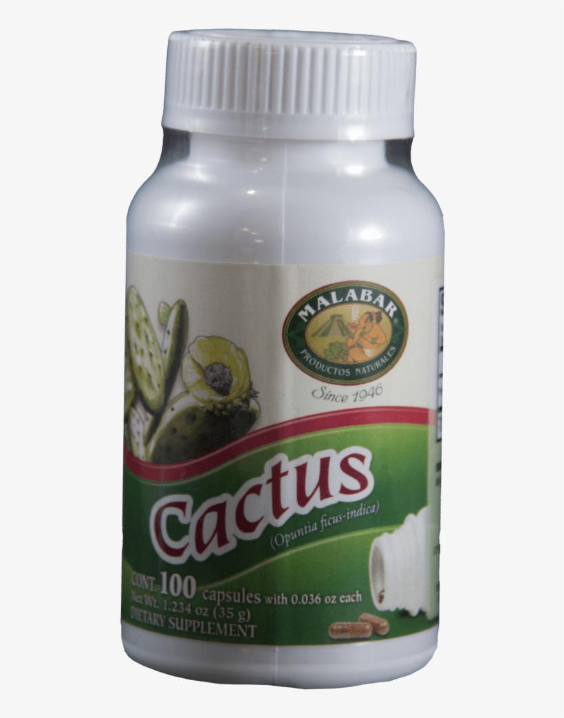 Cactus Nopal Pills - Lizard, transparent png download