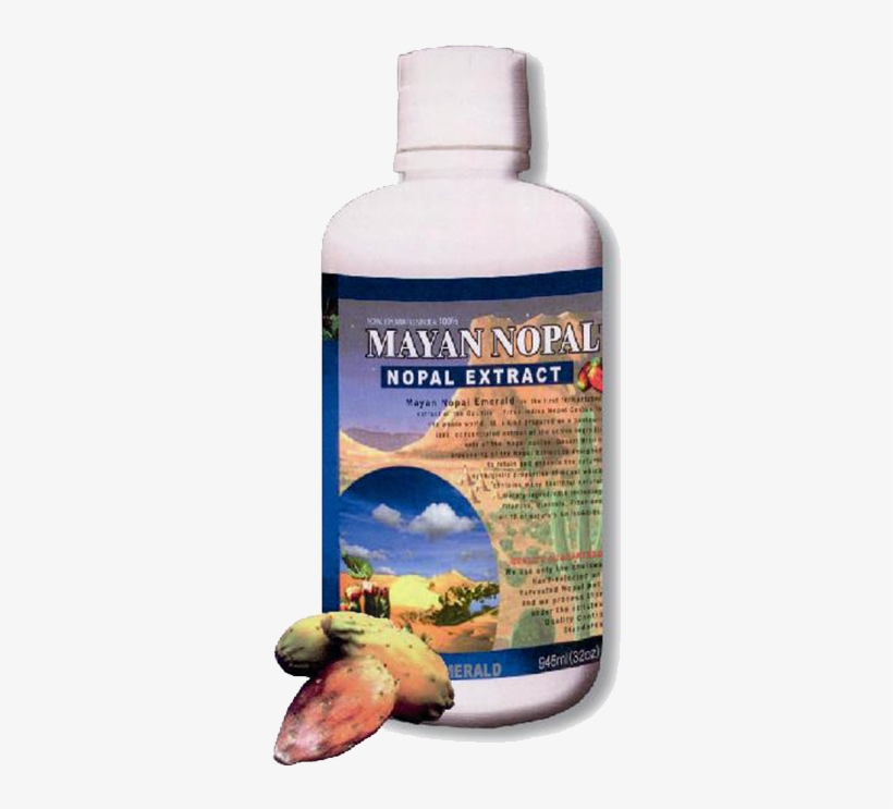 Mussel, transparent png download