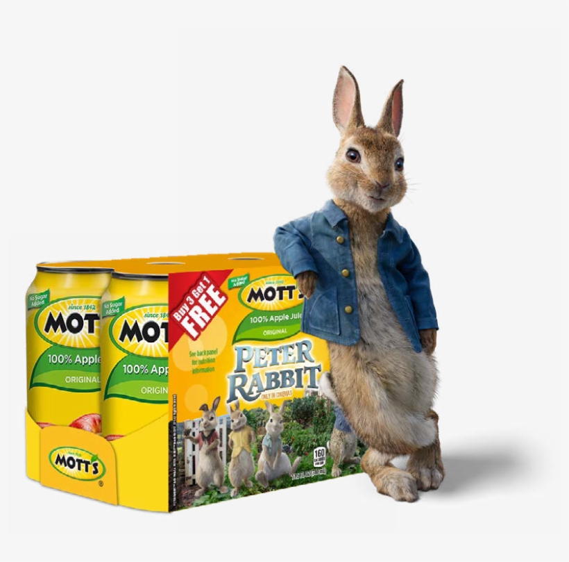 Mott's Original 100% Apple Juice 11.5 Fl. Oz. Can, transparent png download