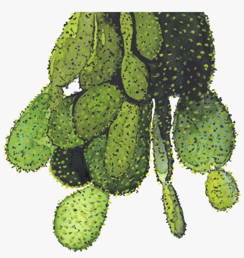 Illustration, transparent png download