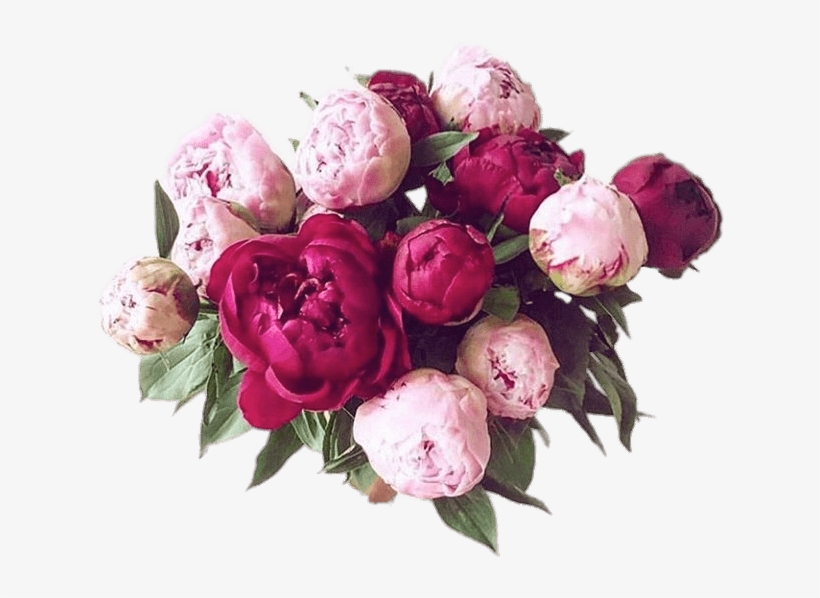 Bouquet Of Peonies - Peonies Transparent, transparent png download