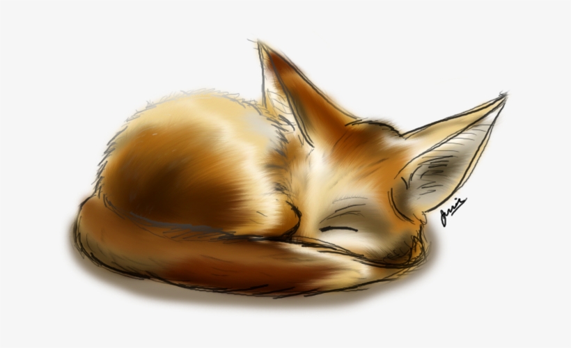 Fennec Fox By Jessay Bunnybee-d3ivf6z - Fennec Fox, transparent png download