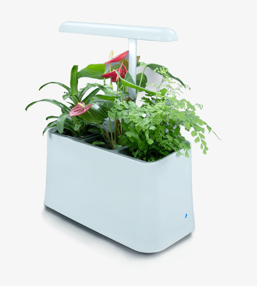 Flowerpot, transparent png download