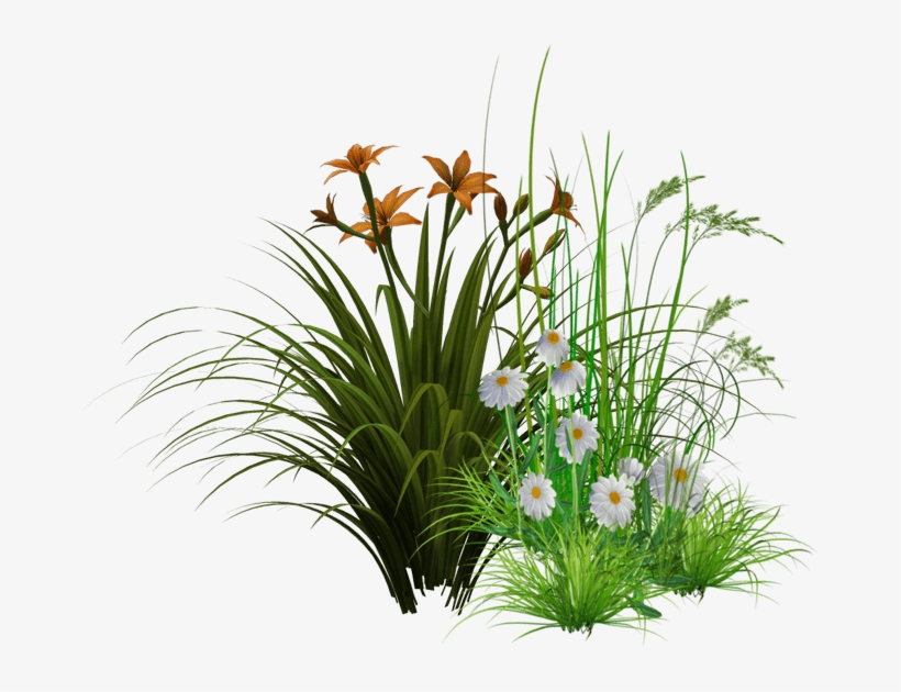 Created By Two Nature Enthusiasts With Decades Of Experience - Flowers Png Images Hd, transparent png download