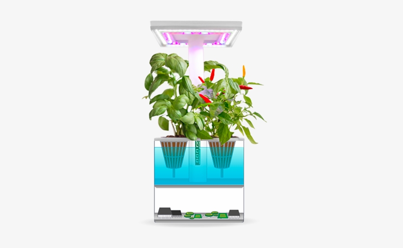 Urbigo Mini Smart Indoor Garden - Garden, transparent png download