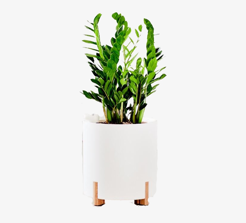 Scandinavian Pot Range, transparent png download