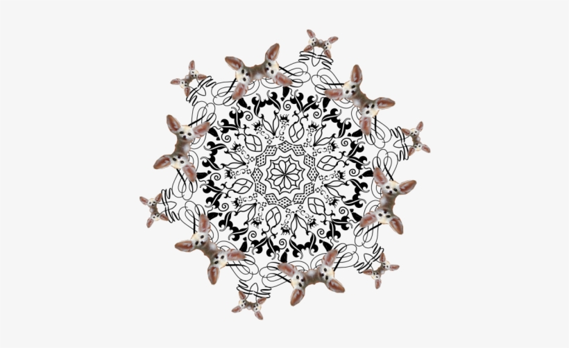 Fennec Fox Mandala - Circle, transparent png download