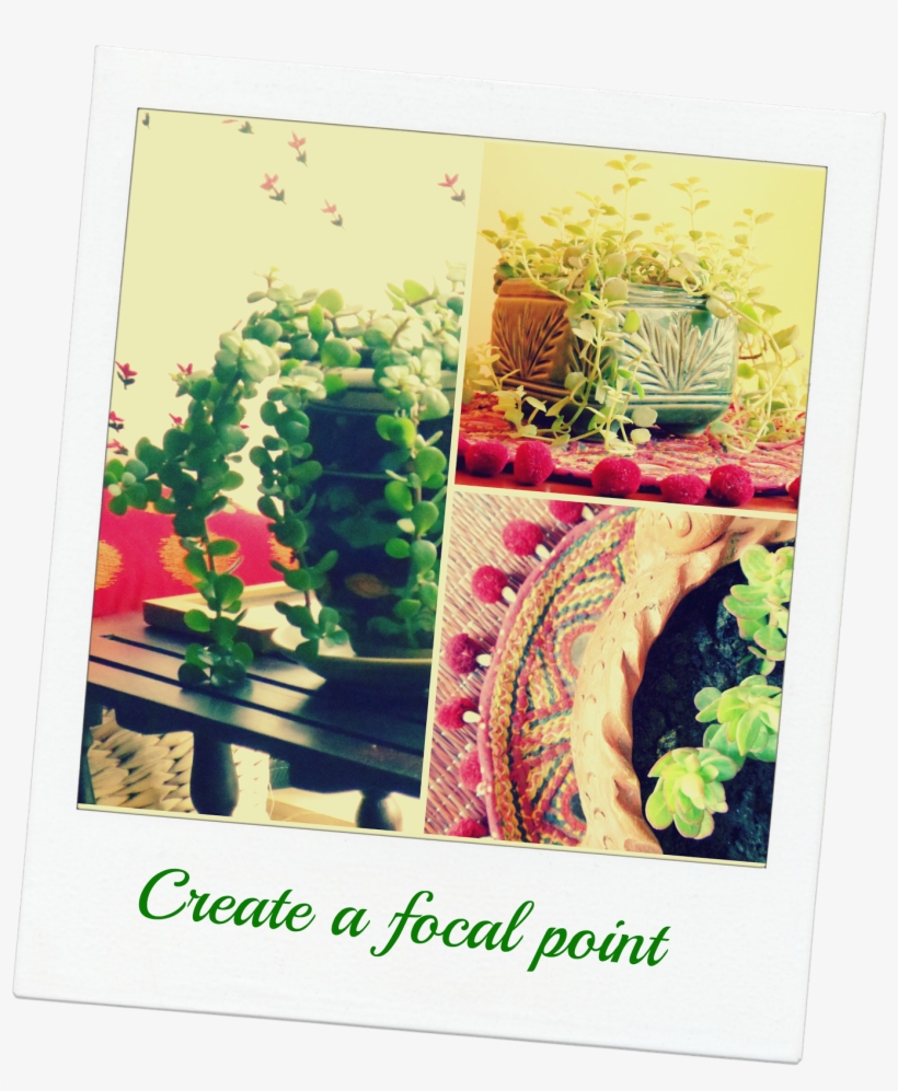 Mealy Bugs And Green Flies Make An Appearance Every - Houseplant, transparent png download