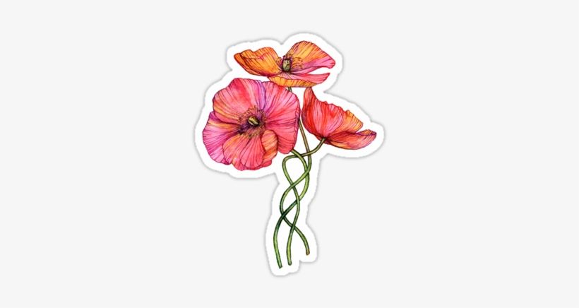Peach & Pink Poppy Tangle By Micklyn - Thinking Of You, Anniversary Of The Loss, transparent png download