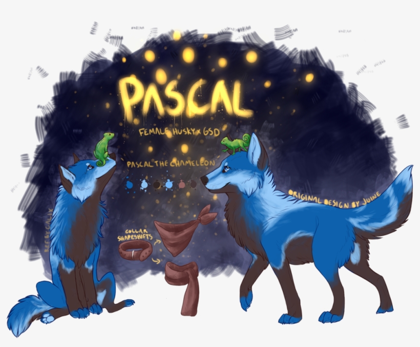 Picture - Dog Catches Something, transparent png download