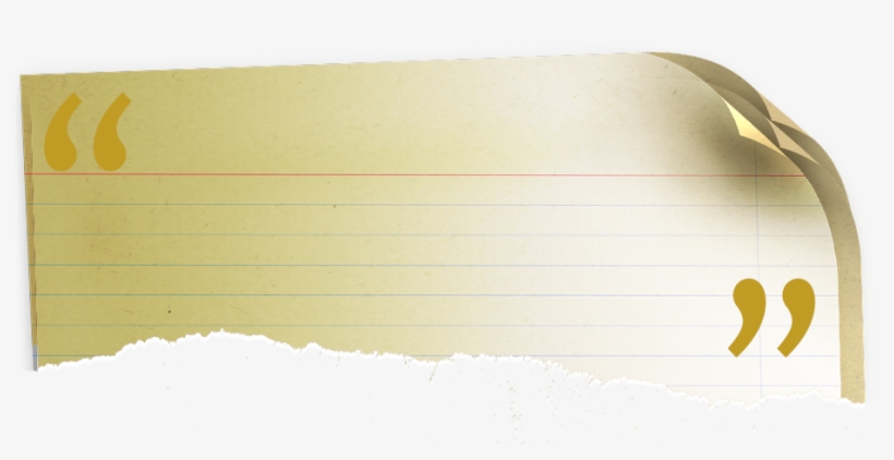 T He Winners Of Super Bowl Xlviii Will Raise The Vince - Paper, transparent png download
