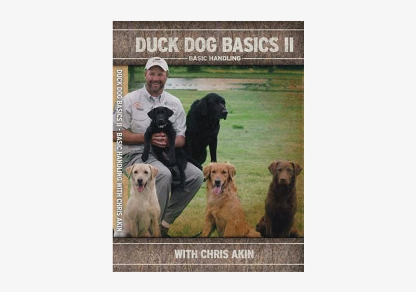 Avery Duck Dog Basics Ii Dvd - Avery Sporting Dog Duck Dog Basics 2 Dvd, transparent png download