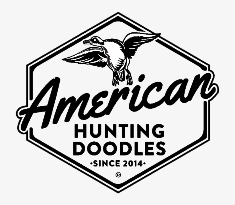 Ahd Logo Background - American Hunting Doodles, transparent png download