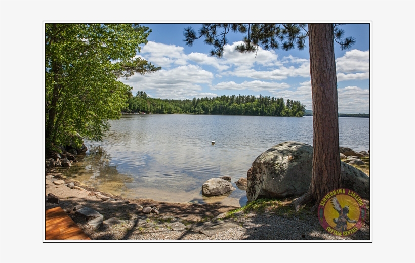 Catcher /summerhawk Lakeside Cottage Rentals Dream - Boulder, transparent png download