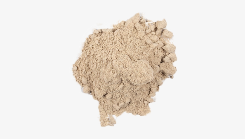 8/5 - Yucca, transparent png download