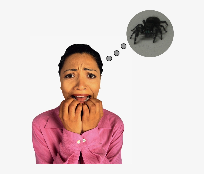 I'm Scared Of Spiders - Public Speaking For The Terrified! Pocket Tips, transparent png download