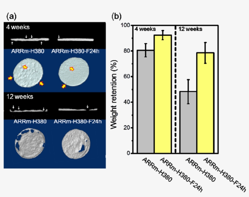A) 3d Images Of Implanted Mg Samples; (b) Weight Retention - Metal, transparent png download