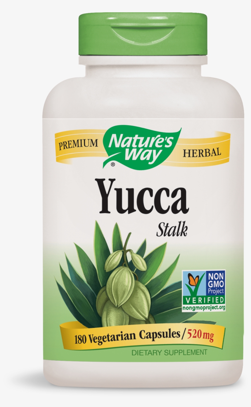 Nature's Way Yucca Stalk 520 Mg - Nature's Way Kudzu, transparent png download