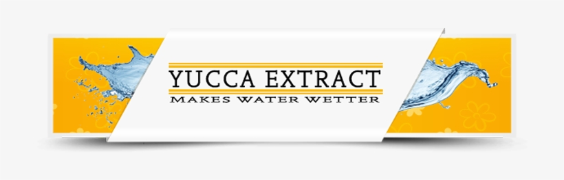 Default Sorting - Mojave Yucca, transparent png download