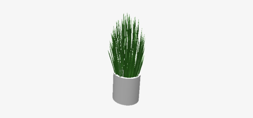 Spikyplant - Plants, transparent png download