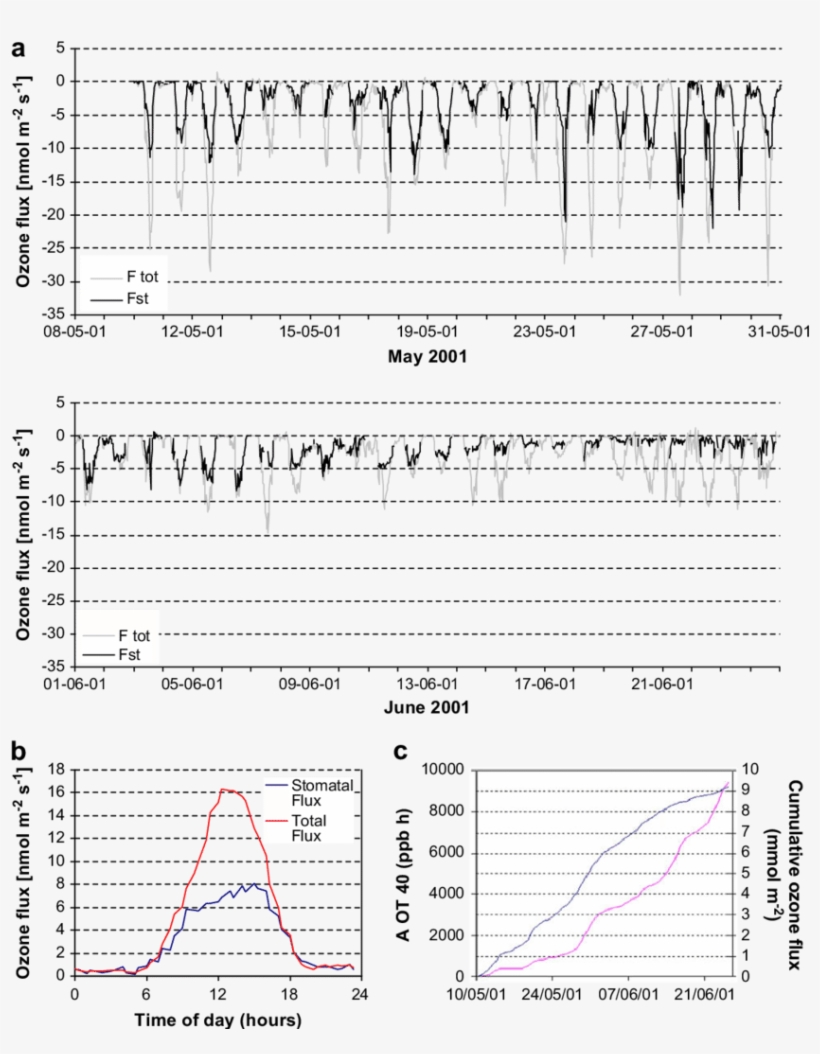 Results Of The Campaign Conducted Over A Wheat Field - Document, transparent png download