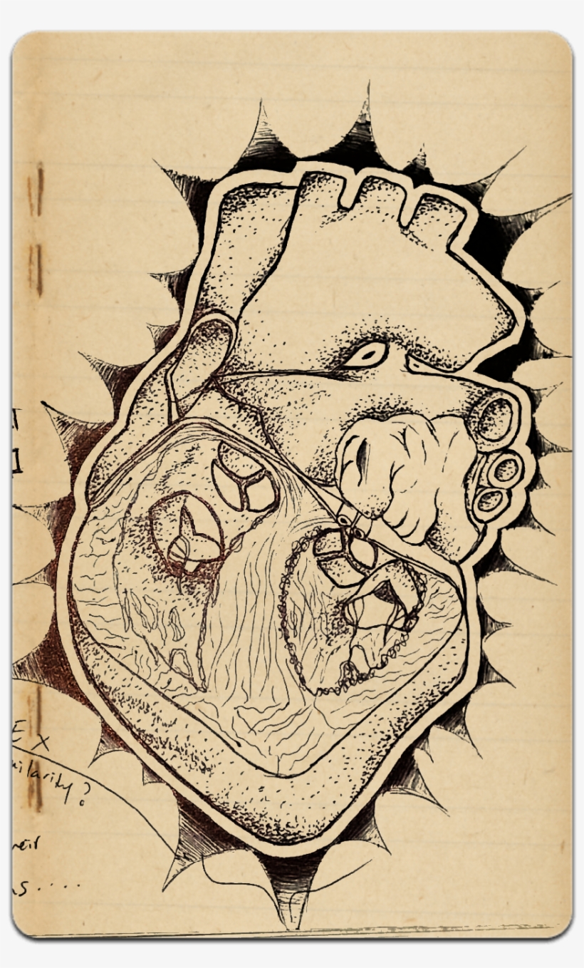 Quick Heart Sketch - Illustration, transparent png download