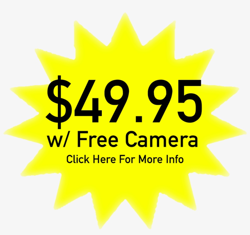 Shirt, transparent png download