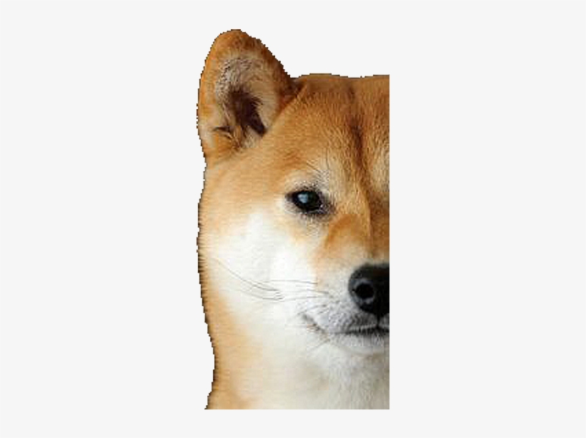 Shiba Dog's Head Messages Sticker-6 - 騙 女生 尿 尿 的 地方, transparent png download