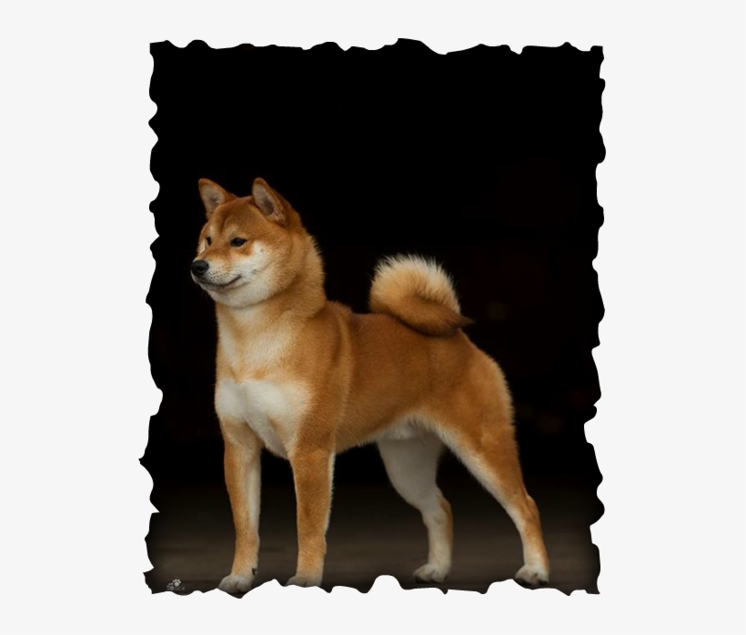 Meltdown Marvel, transparent png download