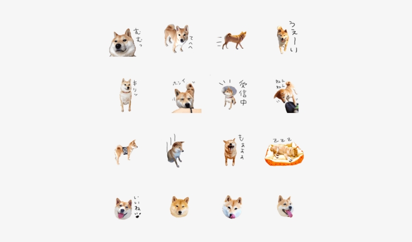 Sell Line Stickers Shiba Inu Gen Fox Transparent Png