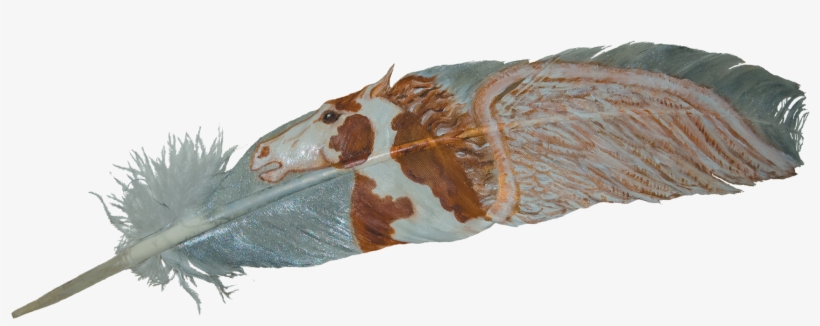 Eagle Feather Png - Portable Network Graphics, transparent png download