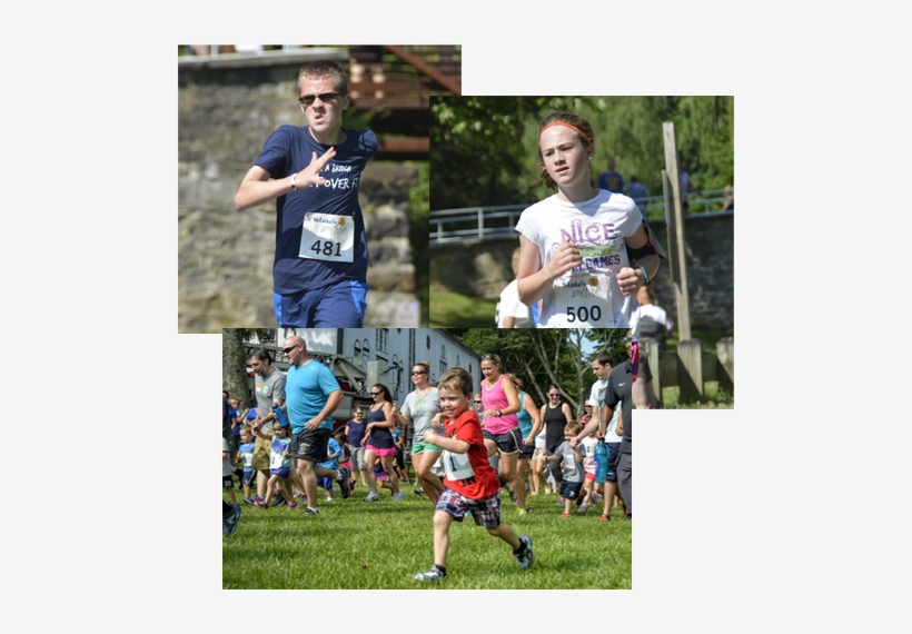 Lvrr Kids Series - Television Show, transparent png download