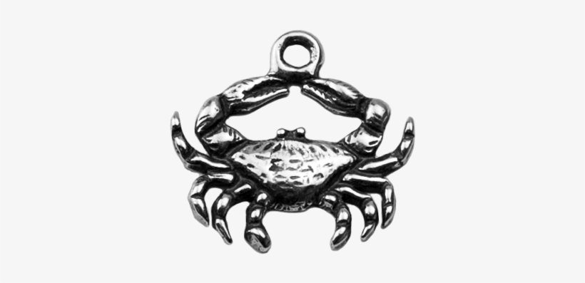 Blue Crab - Rock Crab, transparent png download