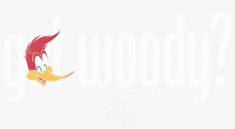 Woody Woodpecker Got Woody Men's Tall Fit T-shirt - Arctic Tern, transparent png download