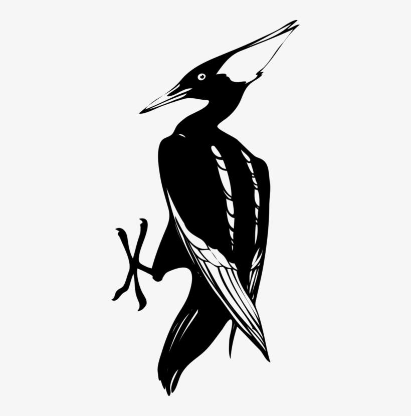 Woody Woodpecker Bird Pecking Download - Woodpecker Clip Art, transparent png download