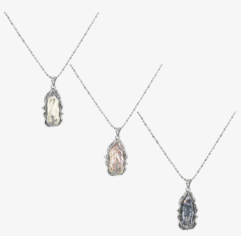 Price, transparent png download